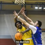 Dubrava Cibona 5660