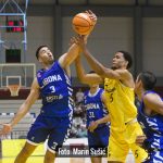 Dubrava Cibona 5766