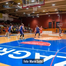 CJ Cibona 3303