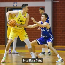 Dubrava Cibona 8252
