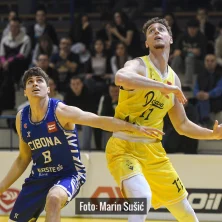Dubrava Cibona 8322