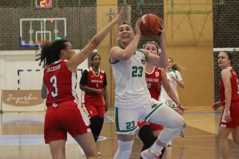 Premijer ženska liga: Brođanke na krilima Slonjšak izborile majstoricu za finale