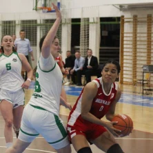 Tresnjevka Brod Na Savi8 1024x651