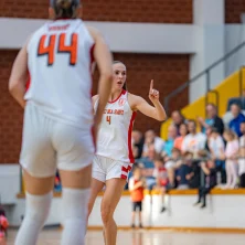 Dsg (1 Of 2)