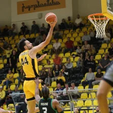 split-trepca-2026-1
