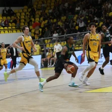 split-trepca-2026-2